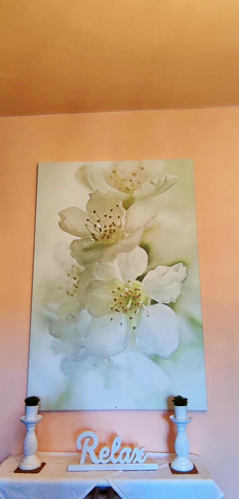 Willa Le Rose Di Mapi Mango Zewnętrze zdjęcie