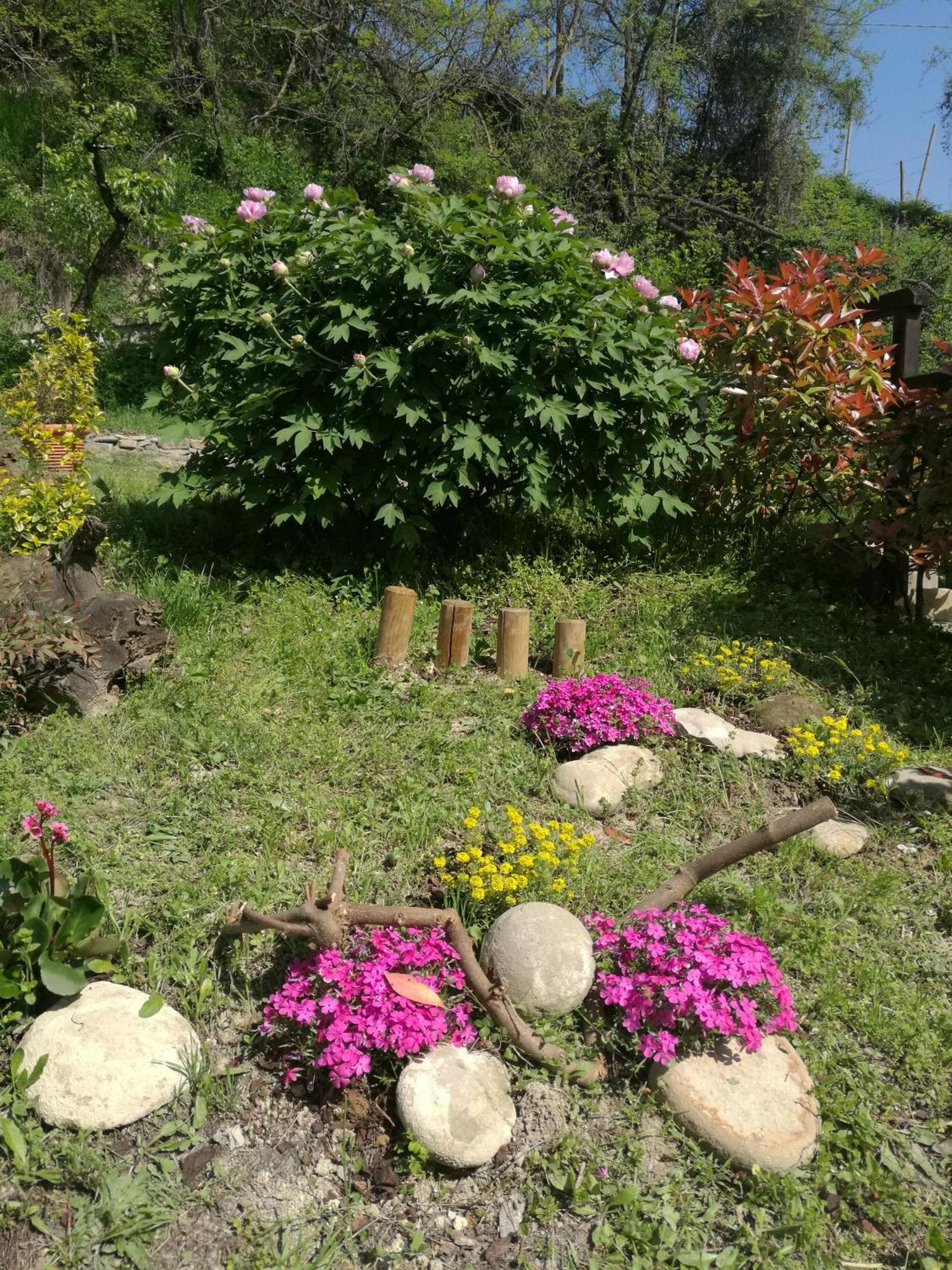 Willa Le Rose Di Mapi Mango Zewnętrze zdjęcie